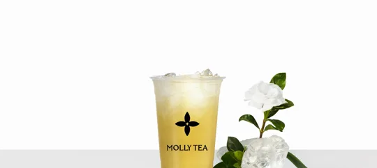 Gardenia Tea