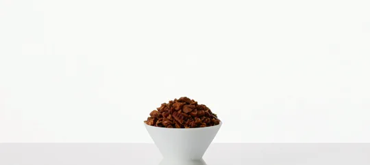 Pecan